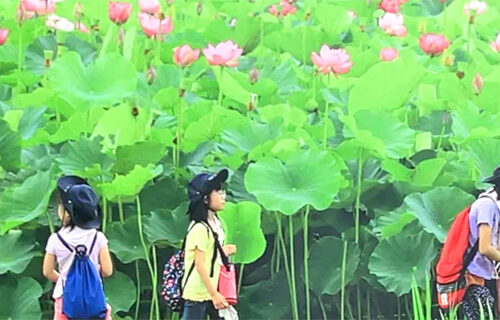 【団体利用のページを更新しました。】