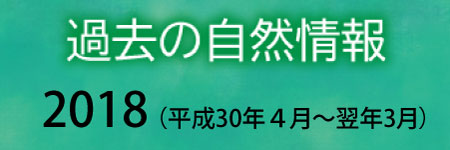 過去の自然情報2018