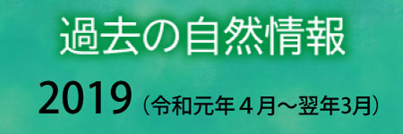 過去の自然情報2019