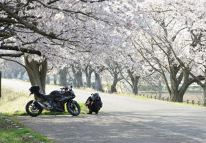 31回潟コン_入選「桜トンネルの下で」松平兼一