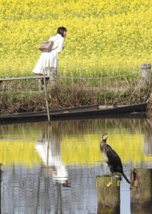 31回潟コン_佳作「そっちじゃない、ここだよ」荒井浩