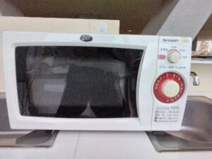 ・追加オプション 電子レンジ　700W500円/1日