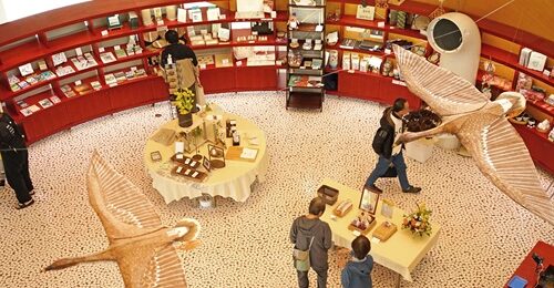 【ビューショップより】新しい商品販売のお知らせ
