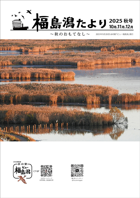 福島潟たより2025秋号 表紙