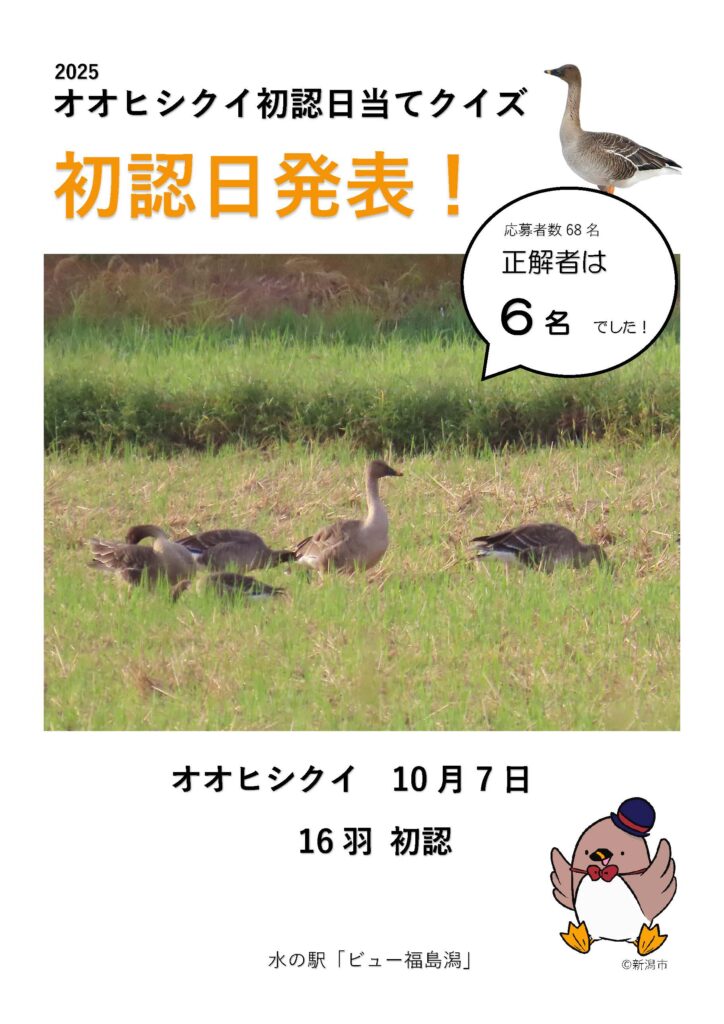 2025オオヒシクイ初認日当てクイズ　初認日発表