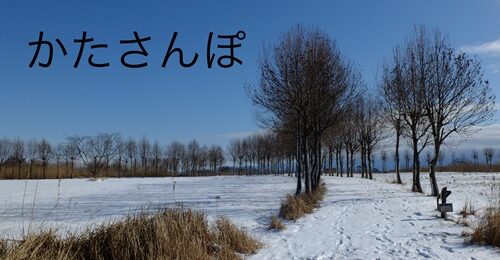 かたさんぽ冬