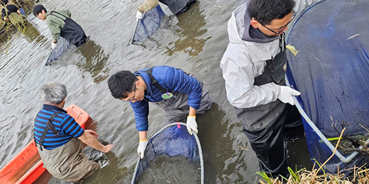 ねっと水生動物観察会