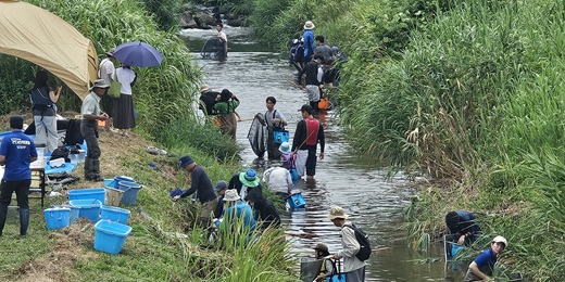 ねっとわーく福島潟＿夏親子魚