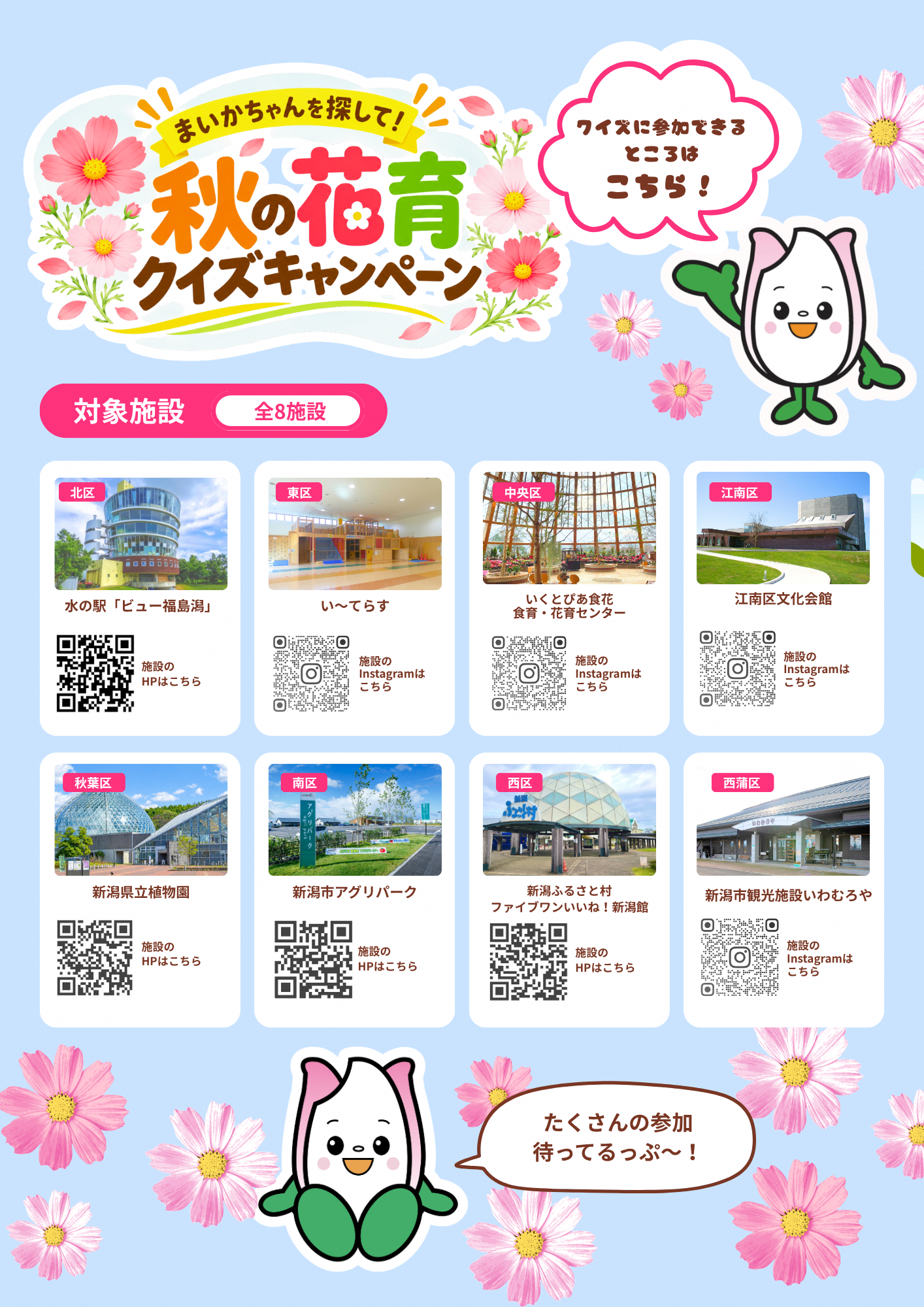 まいかちゃんを探して！秋の花育クイズキャンペーン（裏）